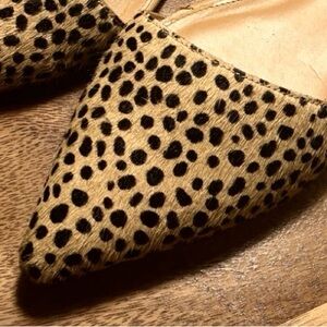 J.Crew D’Orsay Calf Hair Animal Print Pointed Toe Ballet Flat Shoe US Sz 11 EUC